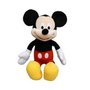 Mickey Plush input